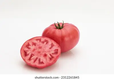 JITOMATE G