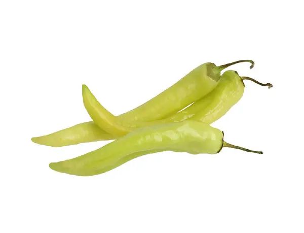 CHILE HUNGARO