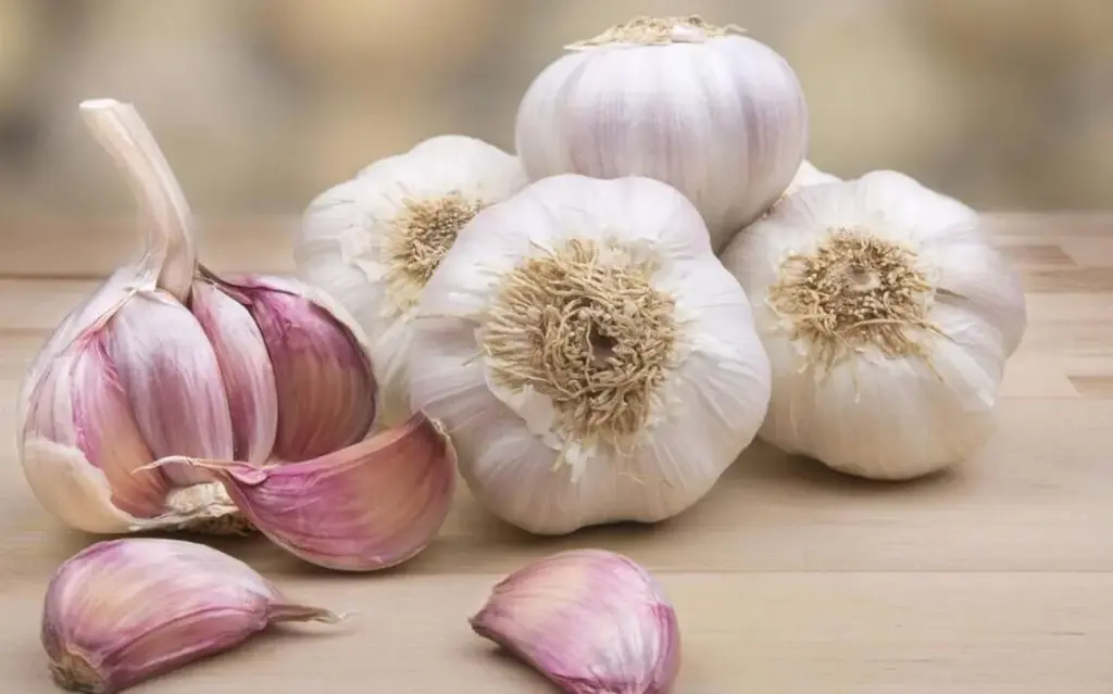 AJO