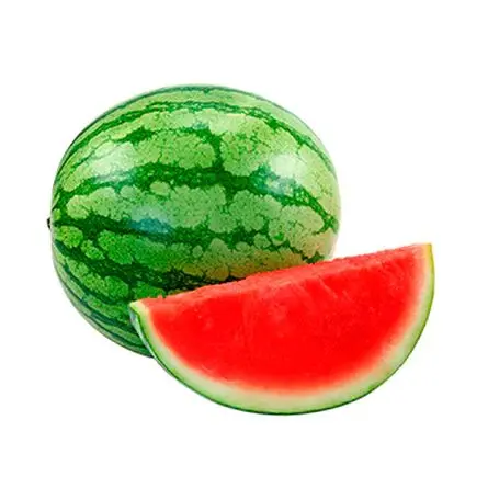 Sandia S/S