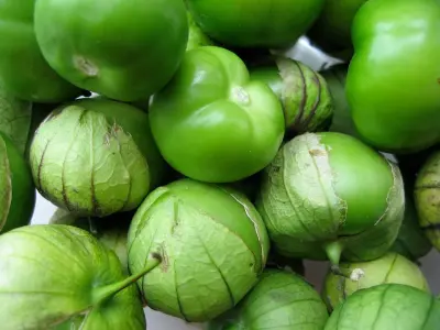 Tomate Con hoja