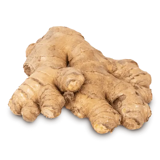Gengibre
