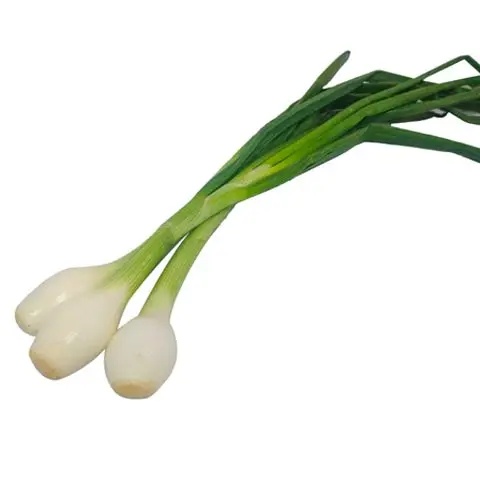 Cebolla Cambray