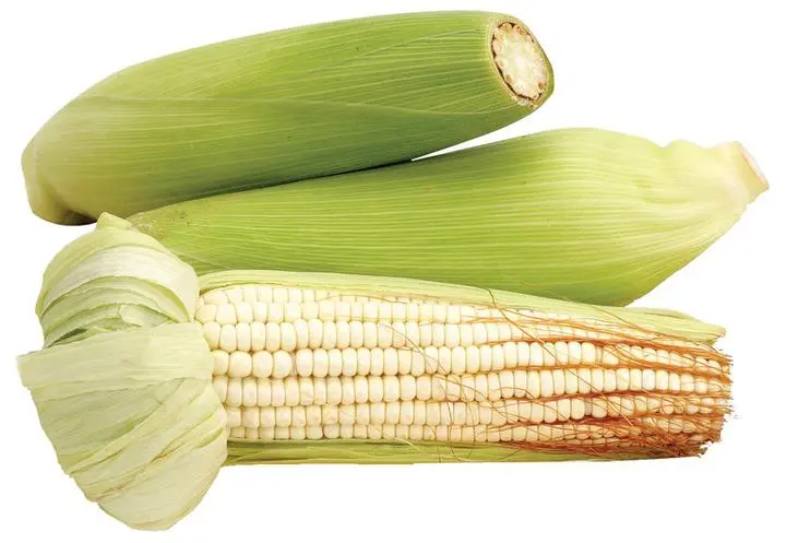 Elote Blanco