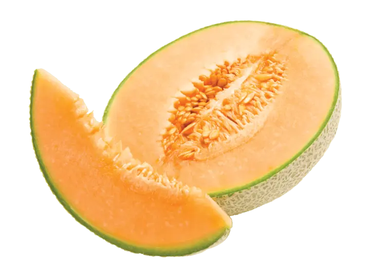 MELON CHINO