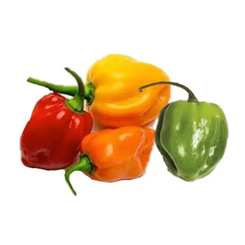 Habanero